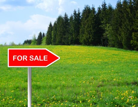 Steps to Choosing the Best Commercial Land